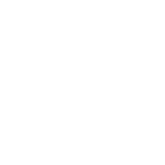 Icon Đá Gà